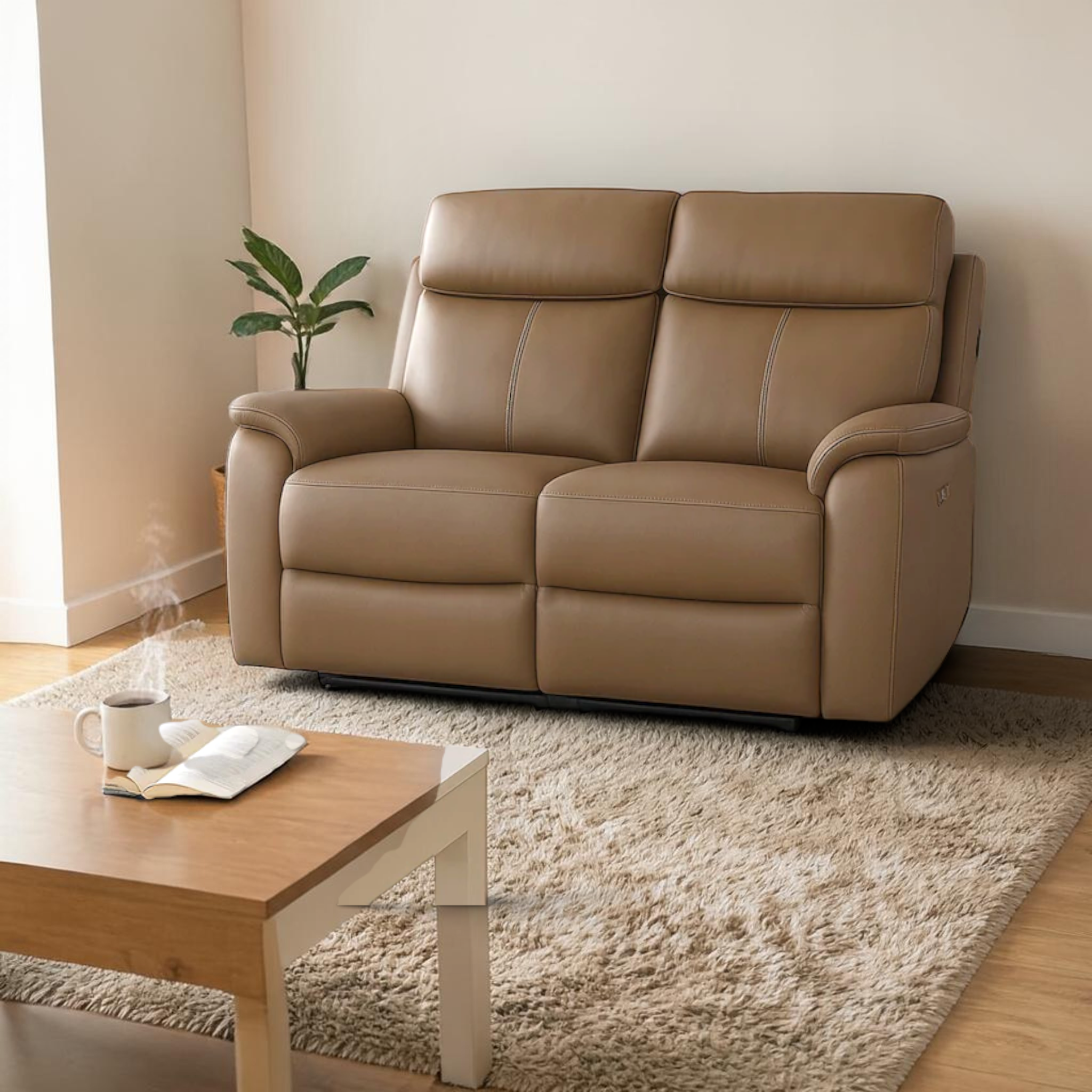 Beige leather sofa in a living room with a wooden coffee table and plant.